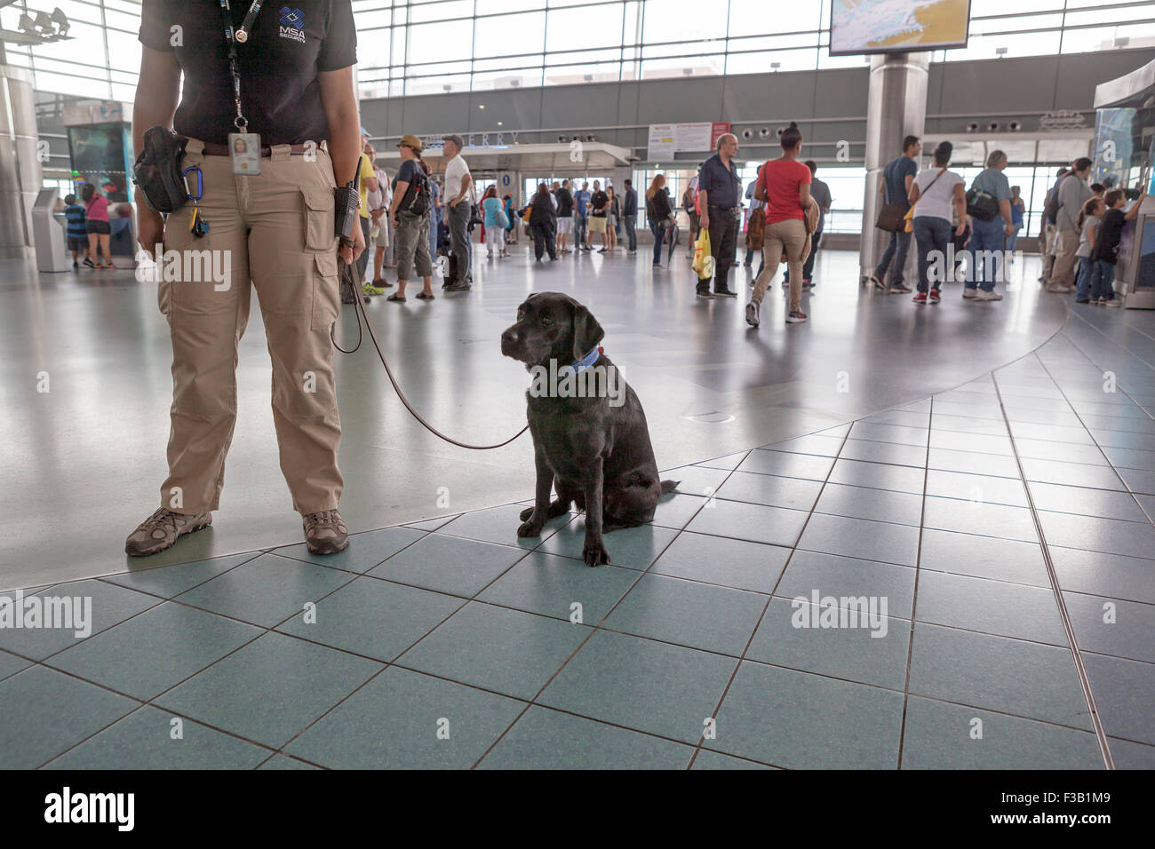Una guardia di sicurezza e un cane addestrato sono di pattuglia a Staten Island Ferry Building a New York City. Foto Stock