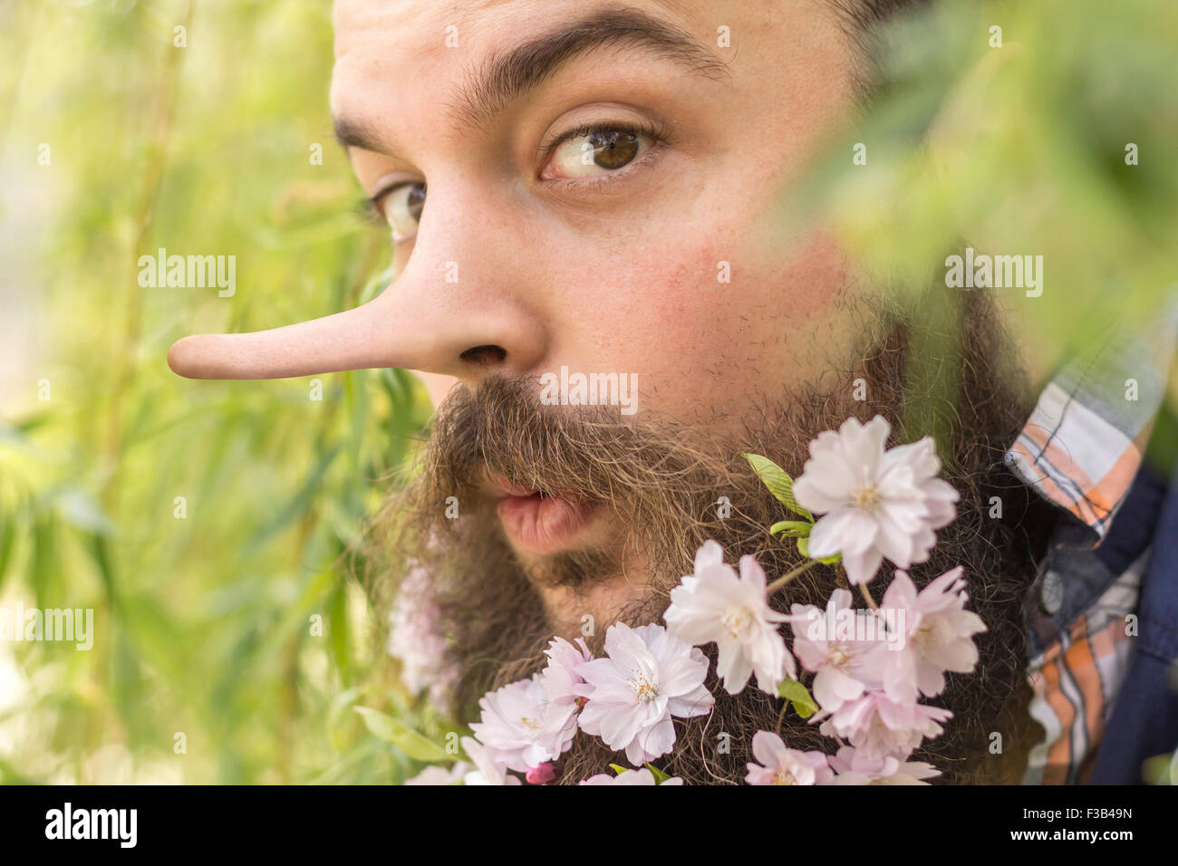 Fiori decorano la barba di questo giovane con un lungo naso bugiardo Foto Stock