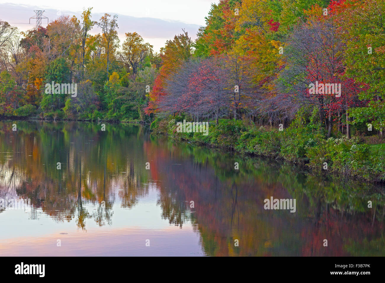 Alberi e riflessioni intorno ad una città stagno a Falls Church, Virginia, Stati Uniti d'America. Foto Stock