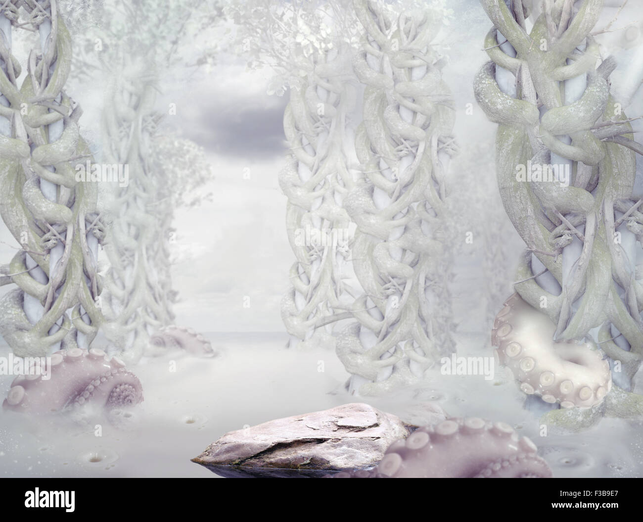 Mistero. Surrealistico bianco misteriosa foresta Foto Stock