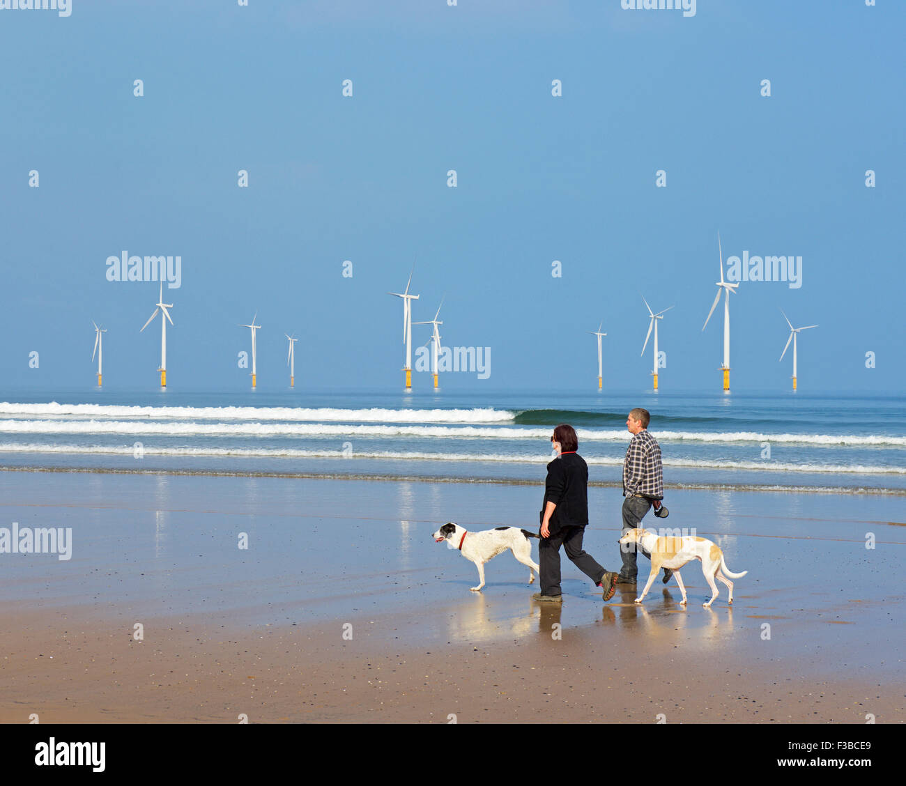 Coppia con due cani sulla spiaggia a Redcar, Cleveland, England Regno Unito Foto Stock