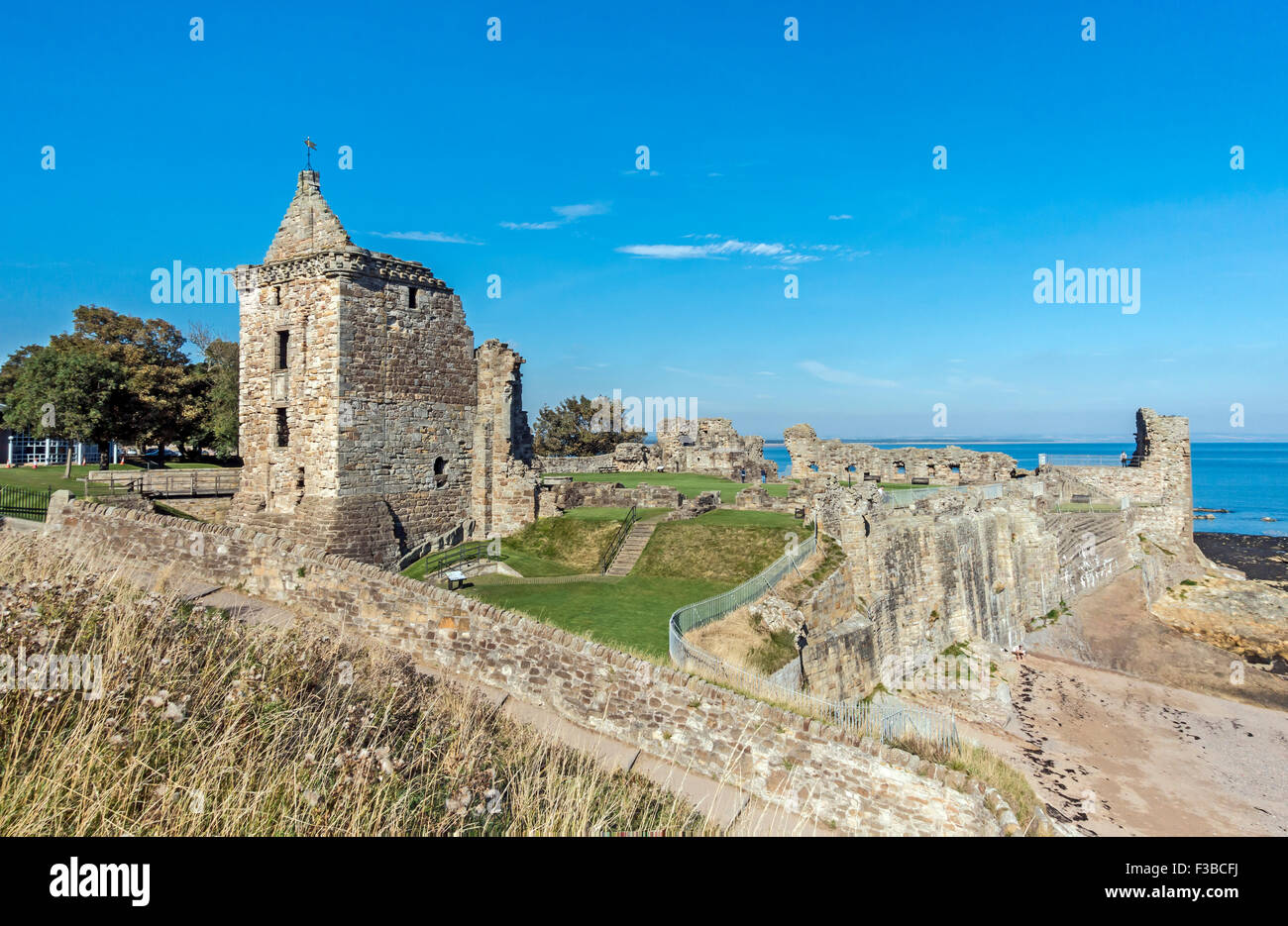 St Andrews Castle rovina in St Andrews Fife Scozia Scotland Foto Stock St Andrews Castle rovina in St Andrews Fife Scozia Scotland Foto Stock