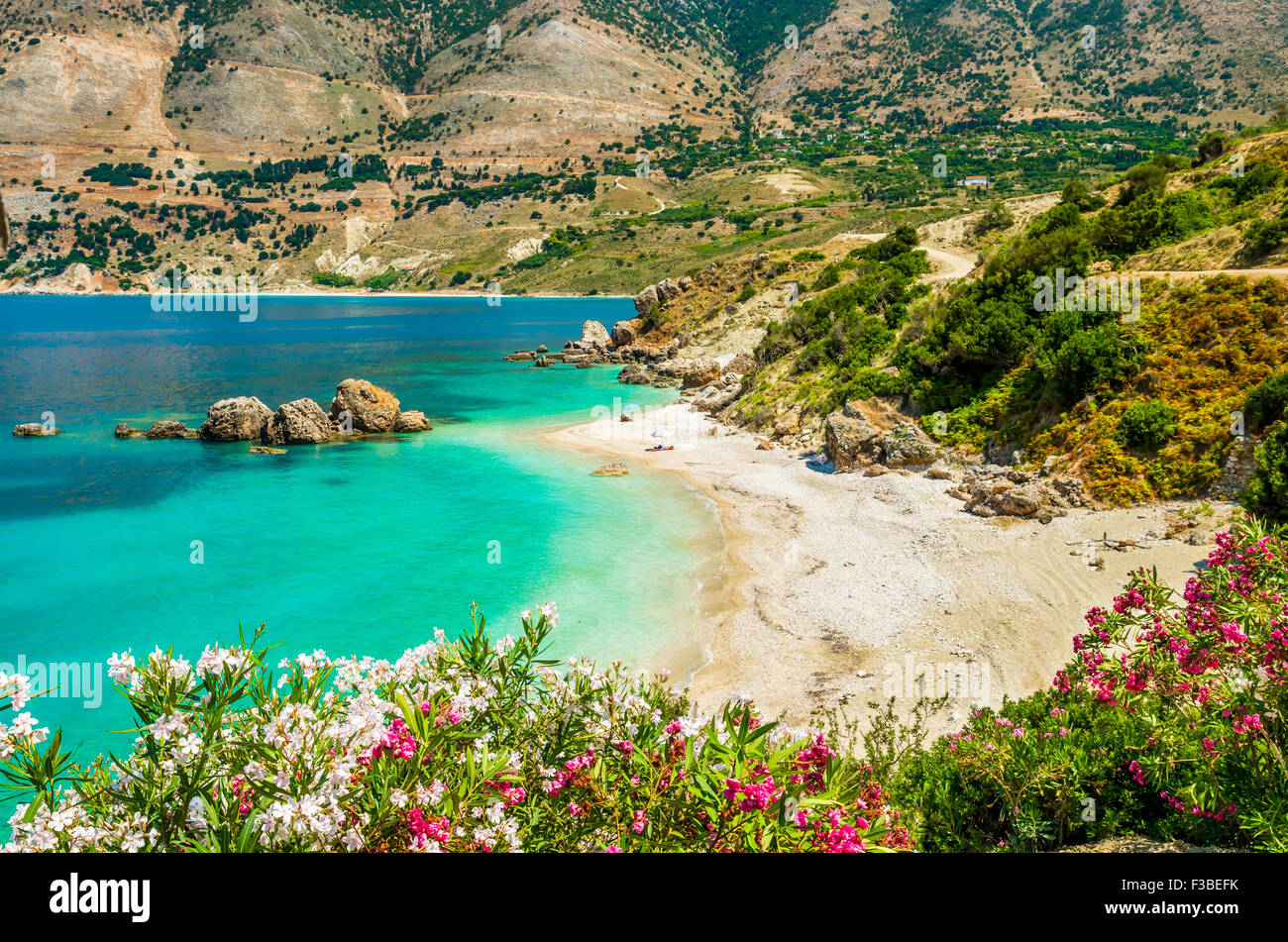 Vouti beach, l'isola di Cefalonia in Grecia. La gente di relax presso la spiaggia. La spiaggia è circondata da fiori. Foto Stock