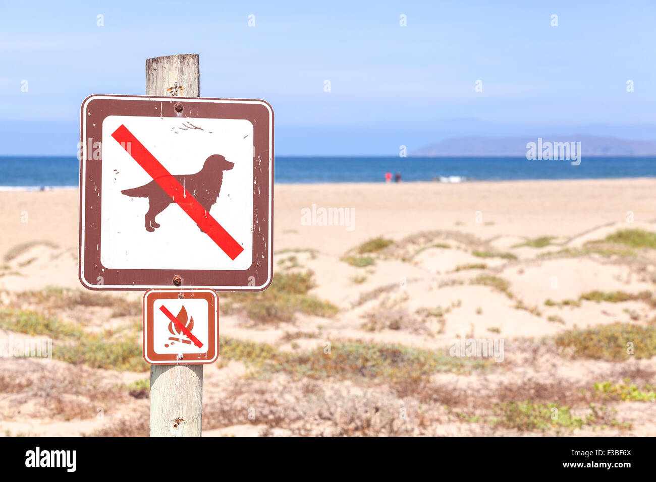 Non si accettano cani e fuochi sulla spiaggia segno, California, USA. Foto Stock