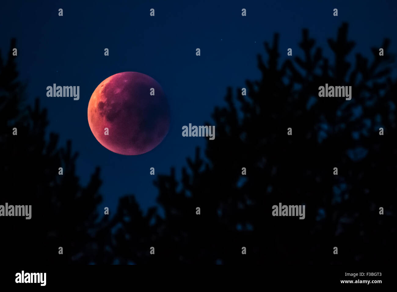 Super luna Lunar Eclipse 28.9.2015 in Finlandia Foto Stock