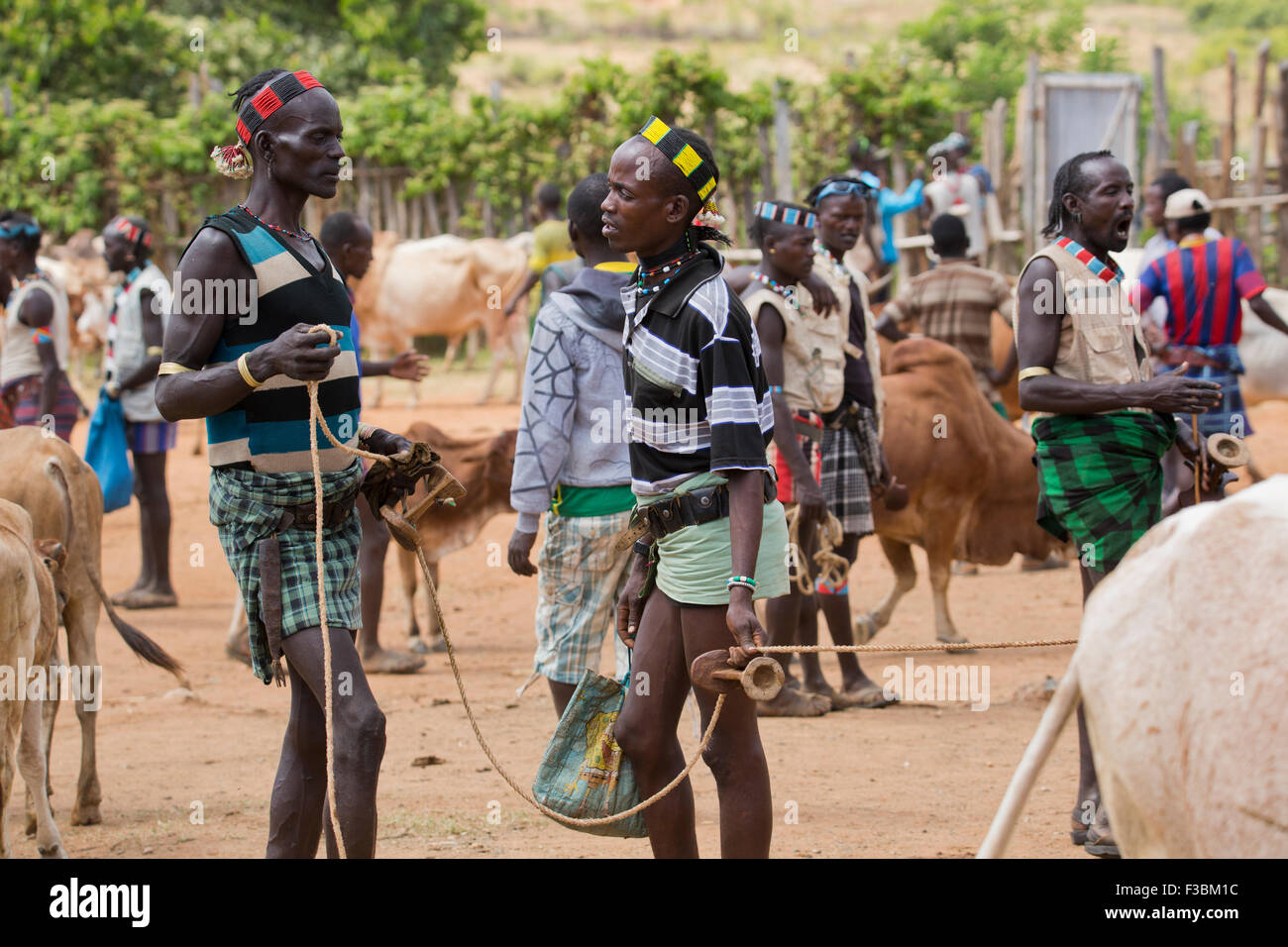 Africa, Etiopia, regione dell'Omo, Ari trib uomini al mercato del bestiame Foto Stock