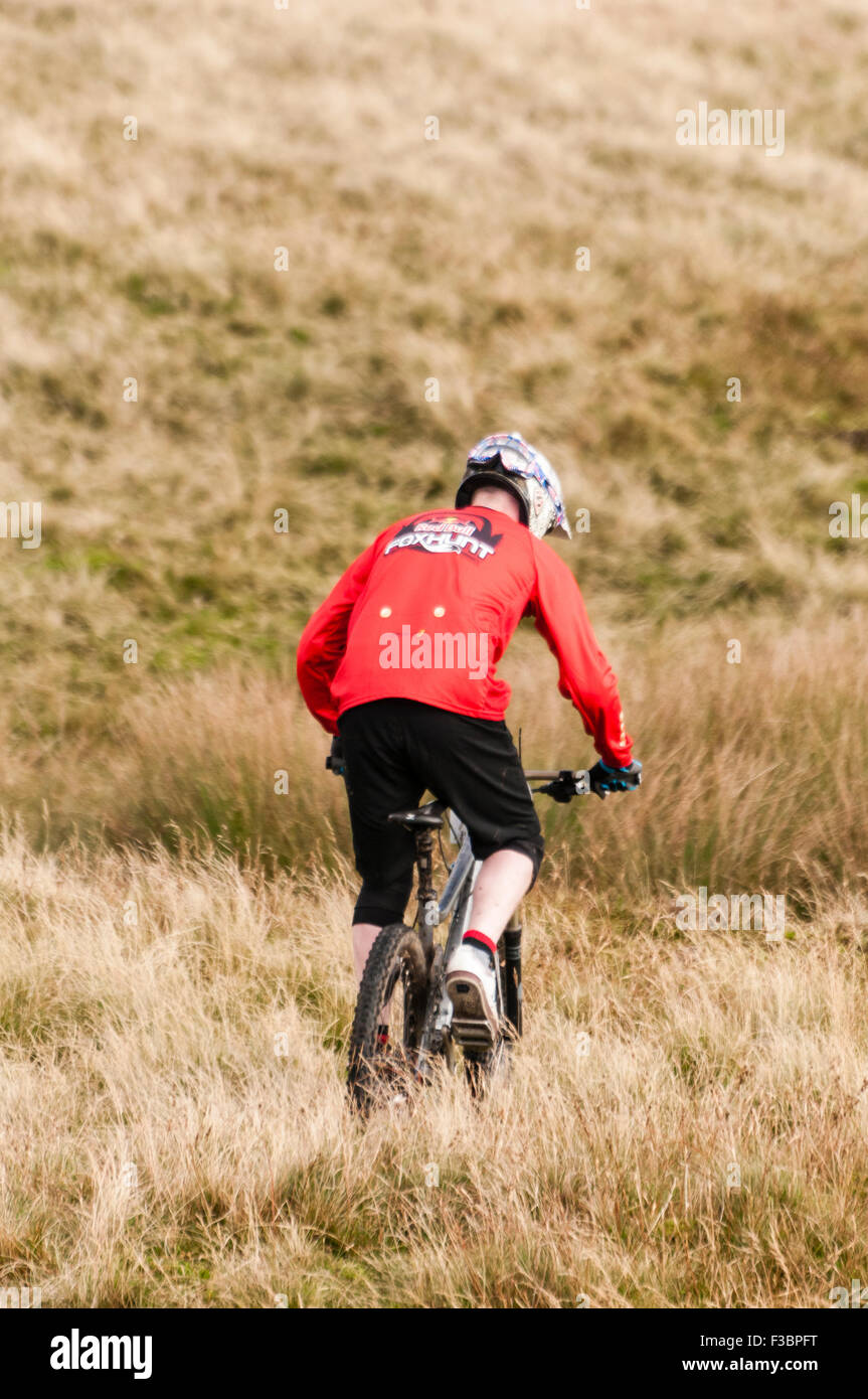 Rostrevor, Irlanda del Nord. 04 ott 2015 - Un concorrente passeggiate attraverso l'erba in cima a una montagna. Credito: Stephen Barnes/Alamy Live News Foto Stock