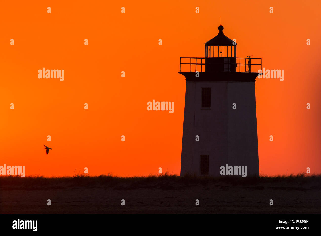 Faro tramonto spettacolare in Provincetown-Cape Cod-Massachusetts Foto Stock