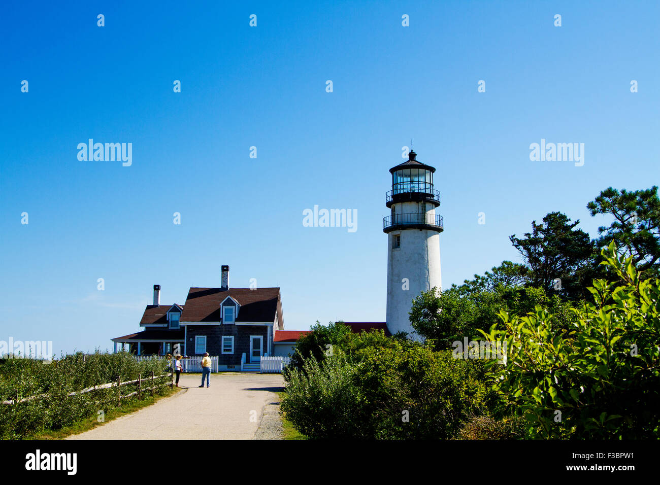 Vista del punto di riferimento Highland Faro di Cape Cod-Massachuset Foto Stock