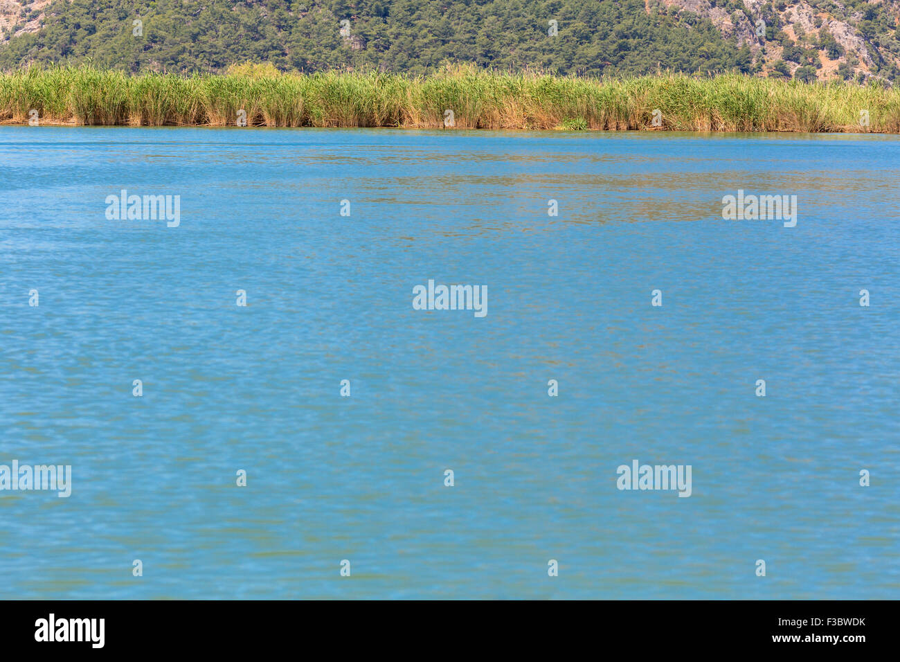 Acqua di lago con reed erba sfondo naturale Foto Stock