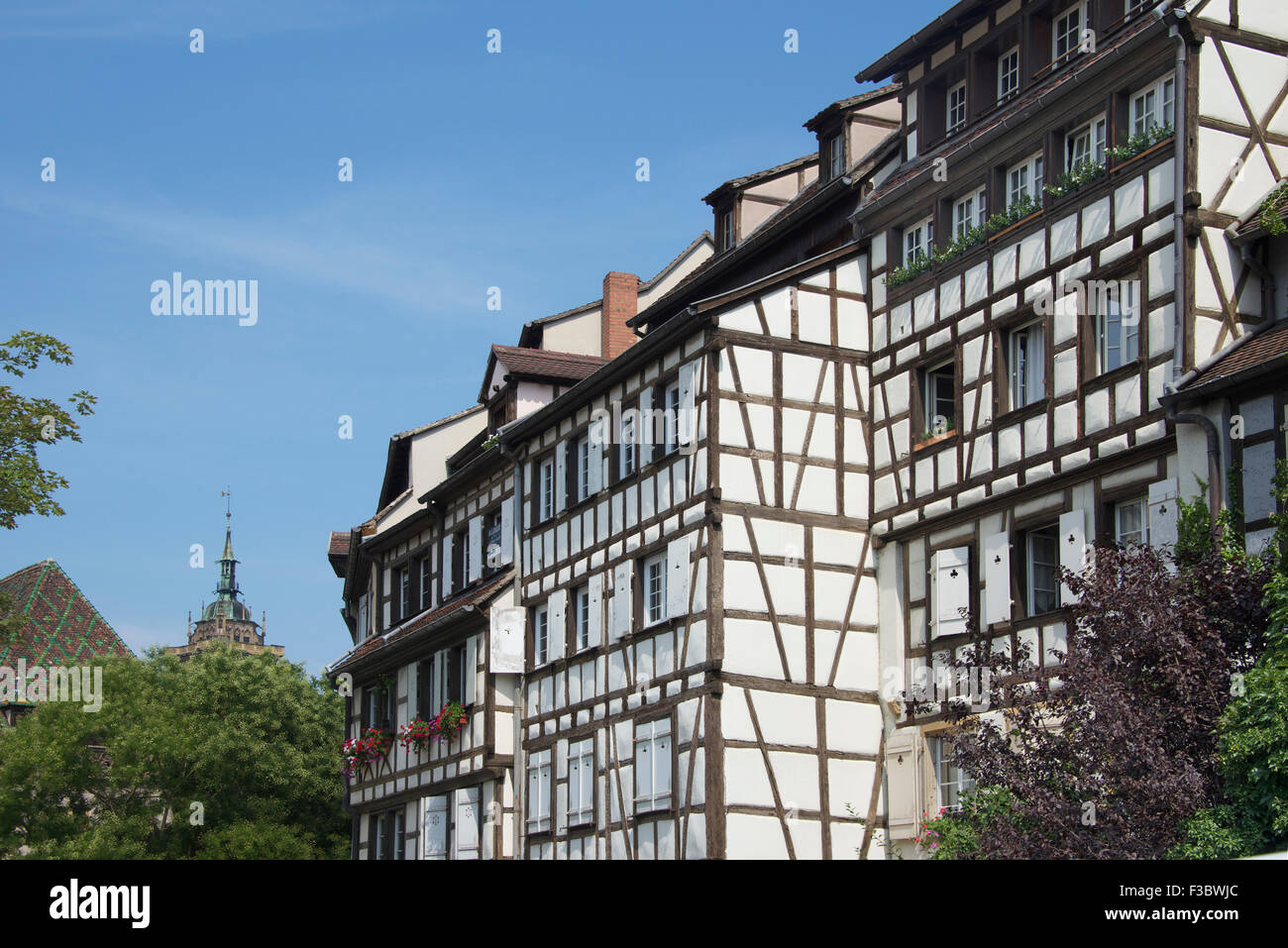 Bella tradizionali graticcio edifici Colmar Alsace Francia Foto Stock