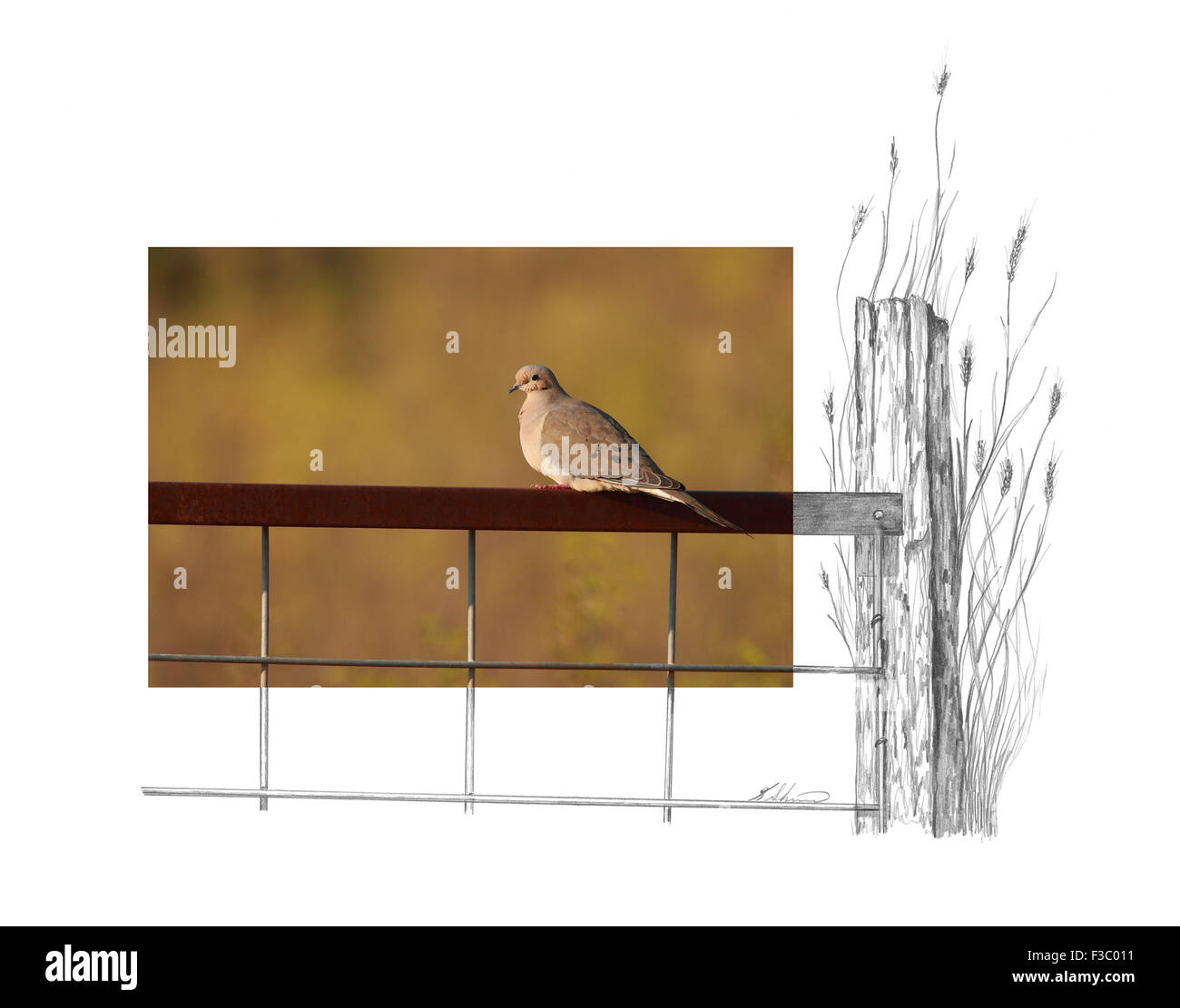 Questo è solo uno dei 27 contesto creativo immagini che abbiamo creato; foto di Andrea McInnes, schizzo da Ken Skinner. Foto Stock