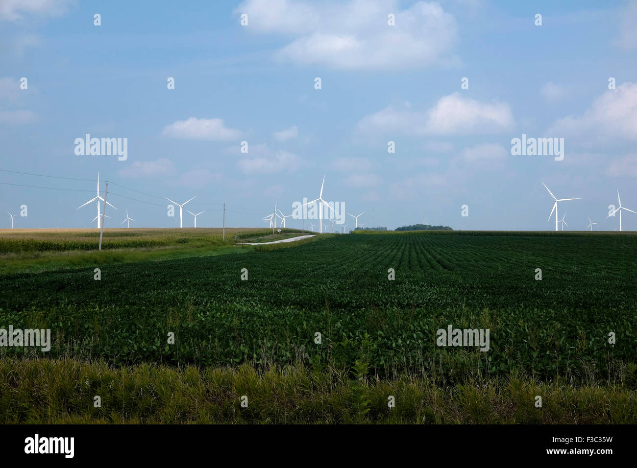 Mulini a vento in cornfields del Dakota del Sud Foto Stock