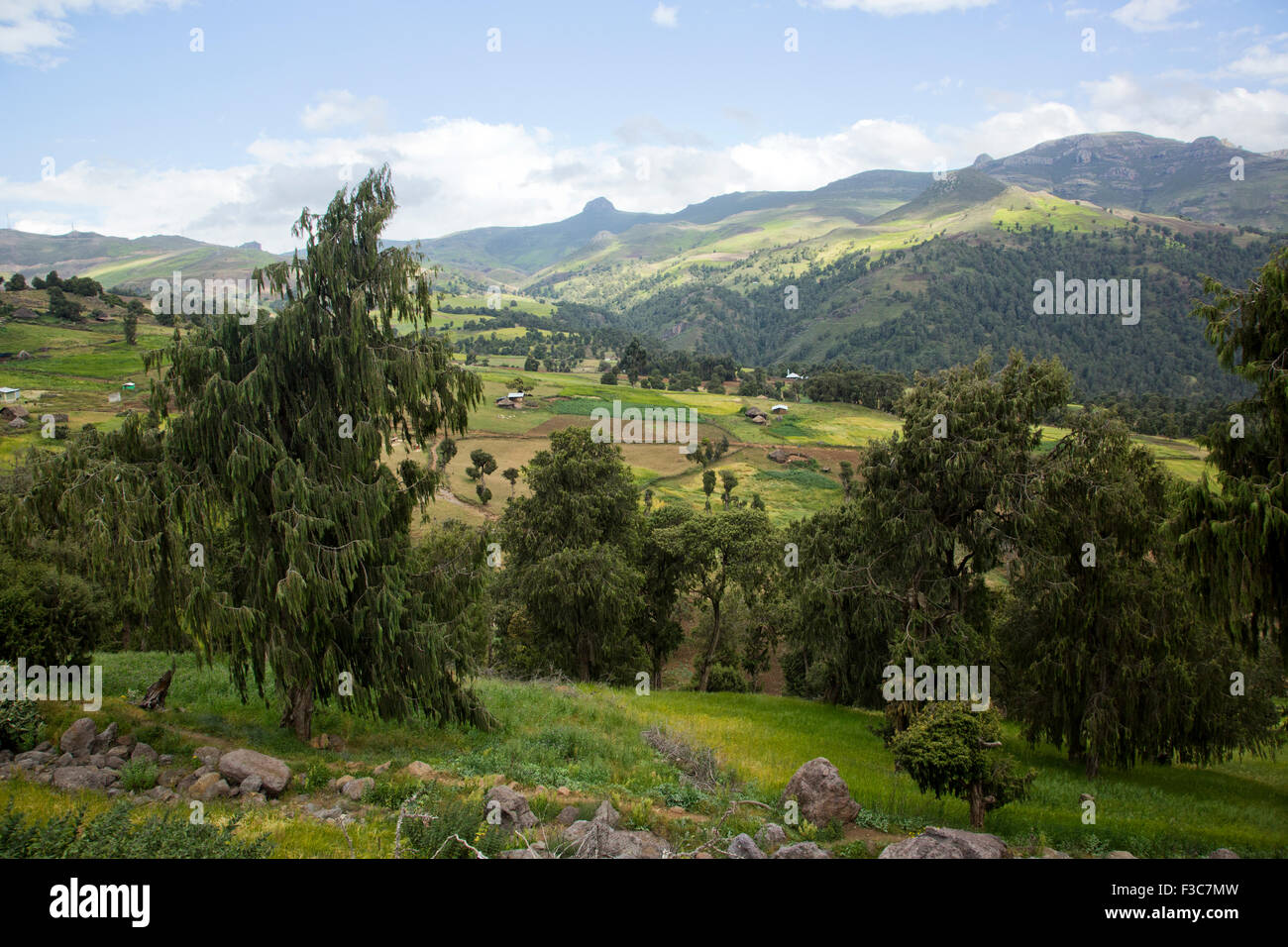 Bale Mountains National Park, Etiopia, Africa Foto Stock