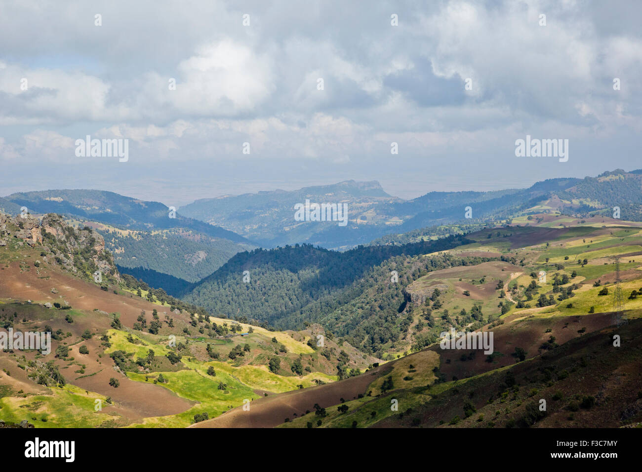 Bale Mountains National Park, Etiopia, Africa Foto Stock