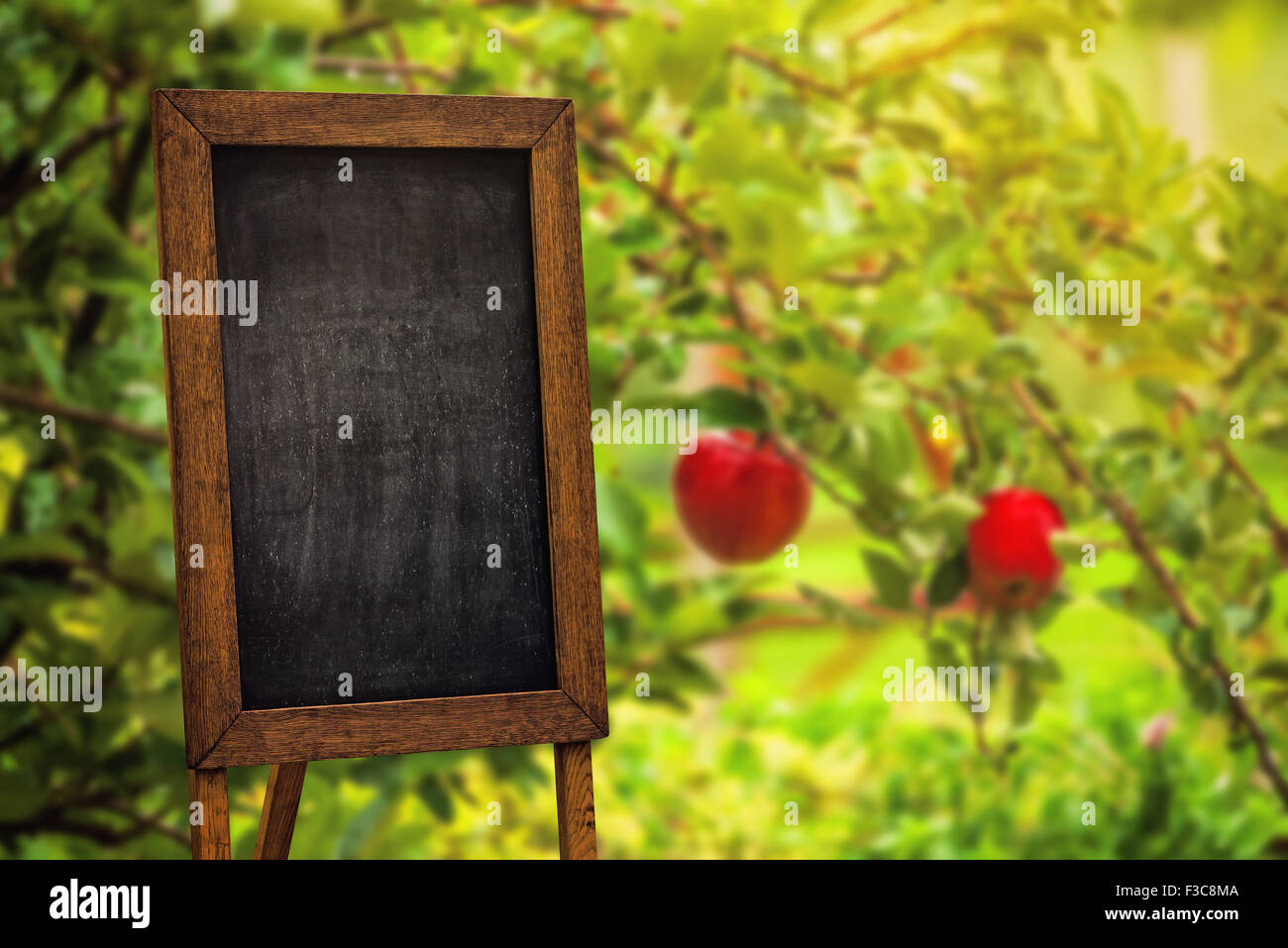 Lavagna vuota come spazio di copia in organic apple Orchard Foto Stock