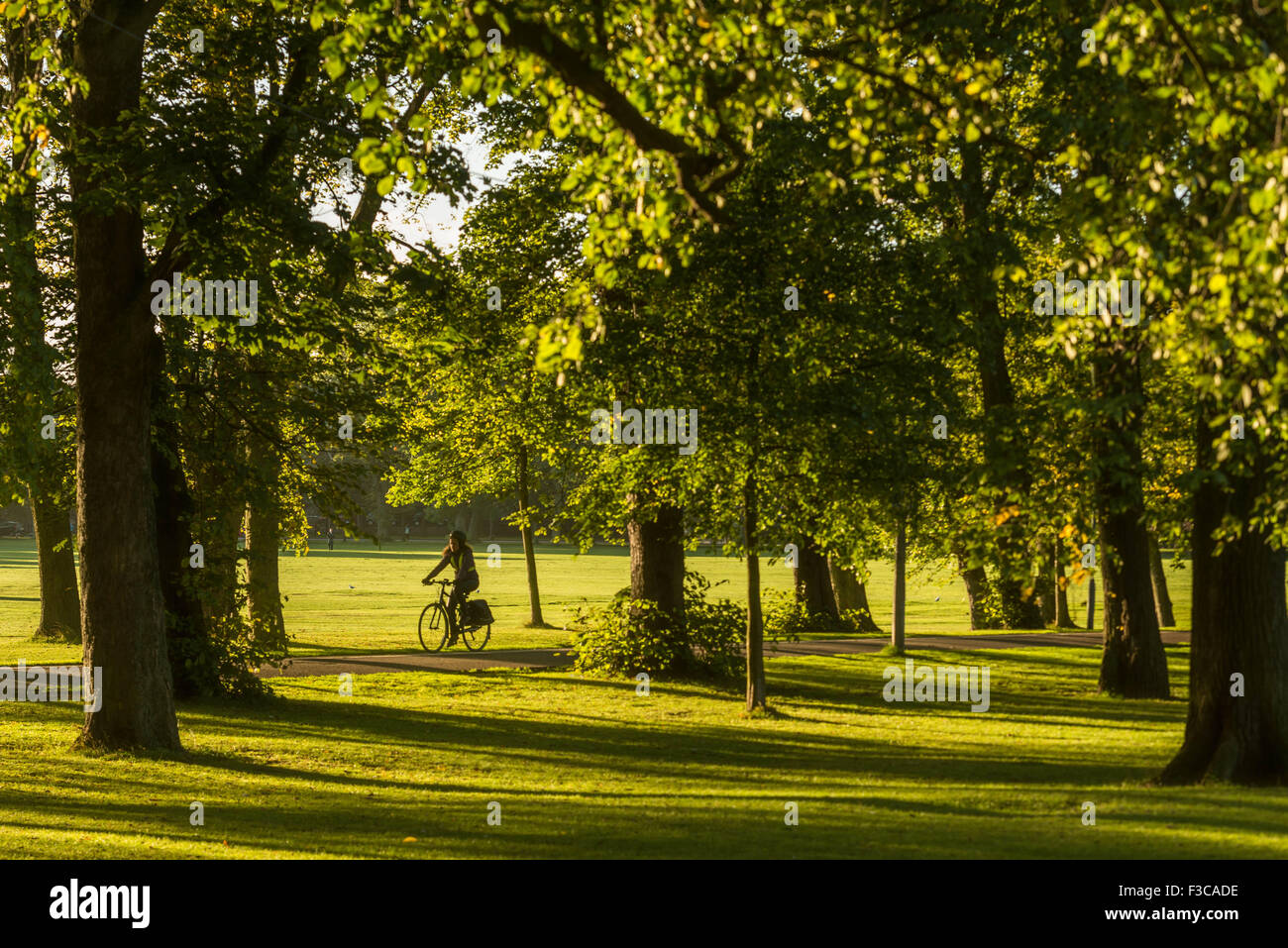 Ciclista passeggiate attraverso i prati allo spuntar del giorno, Edimburgo. Foto Stock