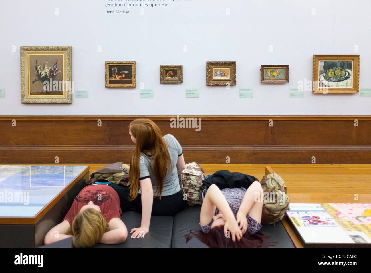 Dipinti su display a Kelvingrove Art Gallery and Museum di Glasgow Regno Unito Foto Stock