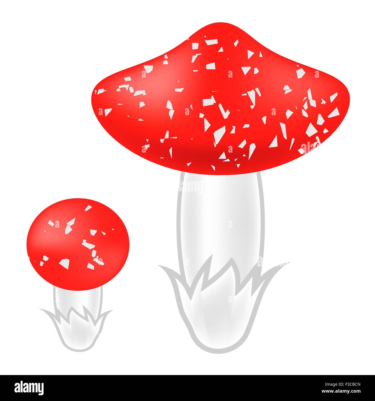 I funghi velenosi Illustrazione Vettoriale