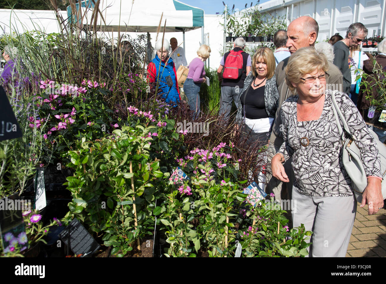 Harrogate Flower Show, North Yorkshire, Inghilterra, Regno Unito. Le persone al di fuori del salone. Foto Stock