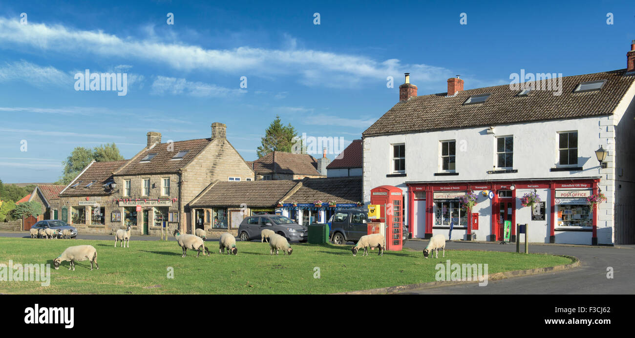 Villaggio di Goathland che è ben noto per le pecore che hanno accesso a tutte le aree pubbliche per il pascolo comune. Foto Stock