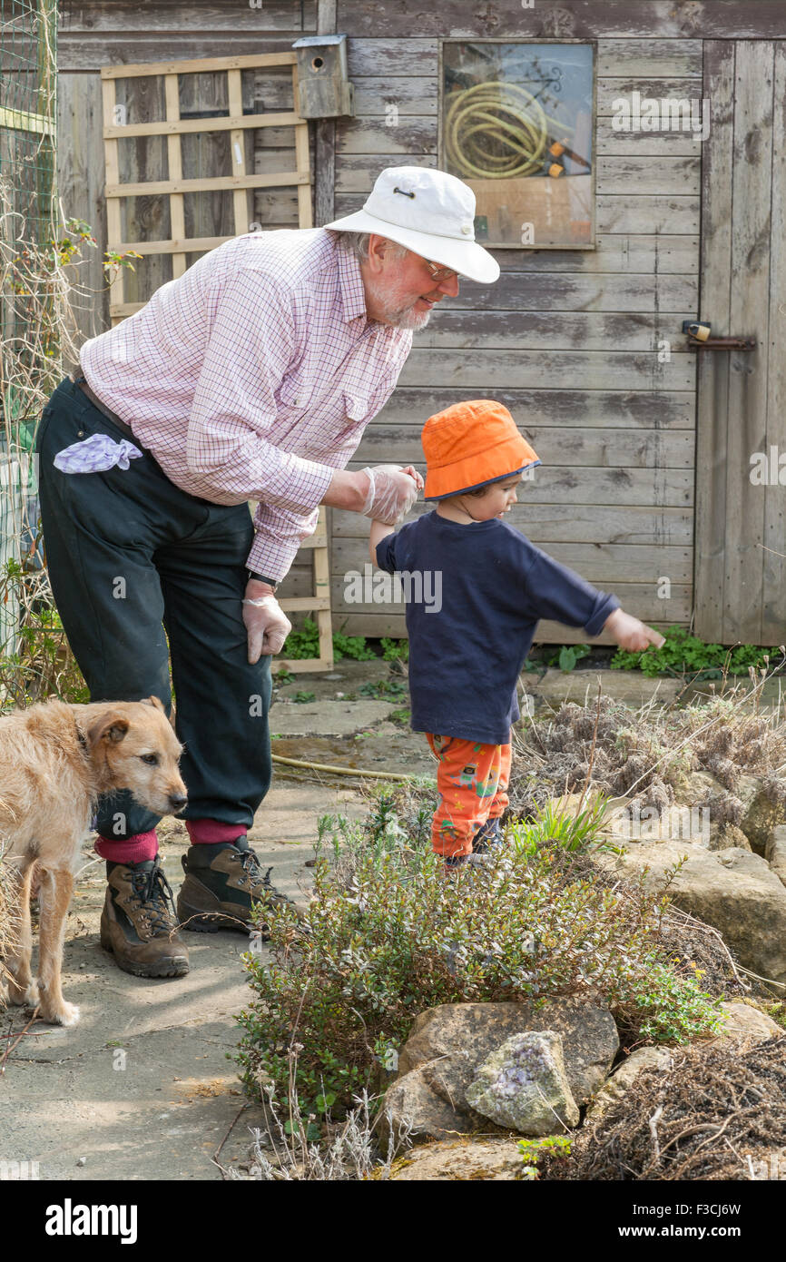 Grandson (3) chiedendo a suo nonno (70) sulle piante mentre il giardinaggio. Foto Stock