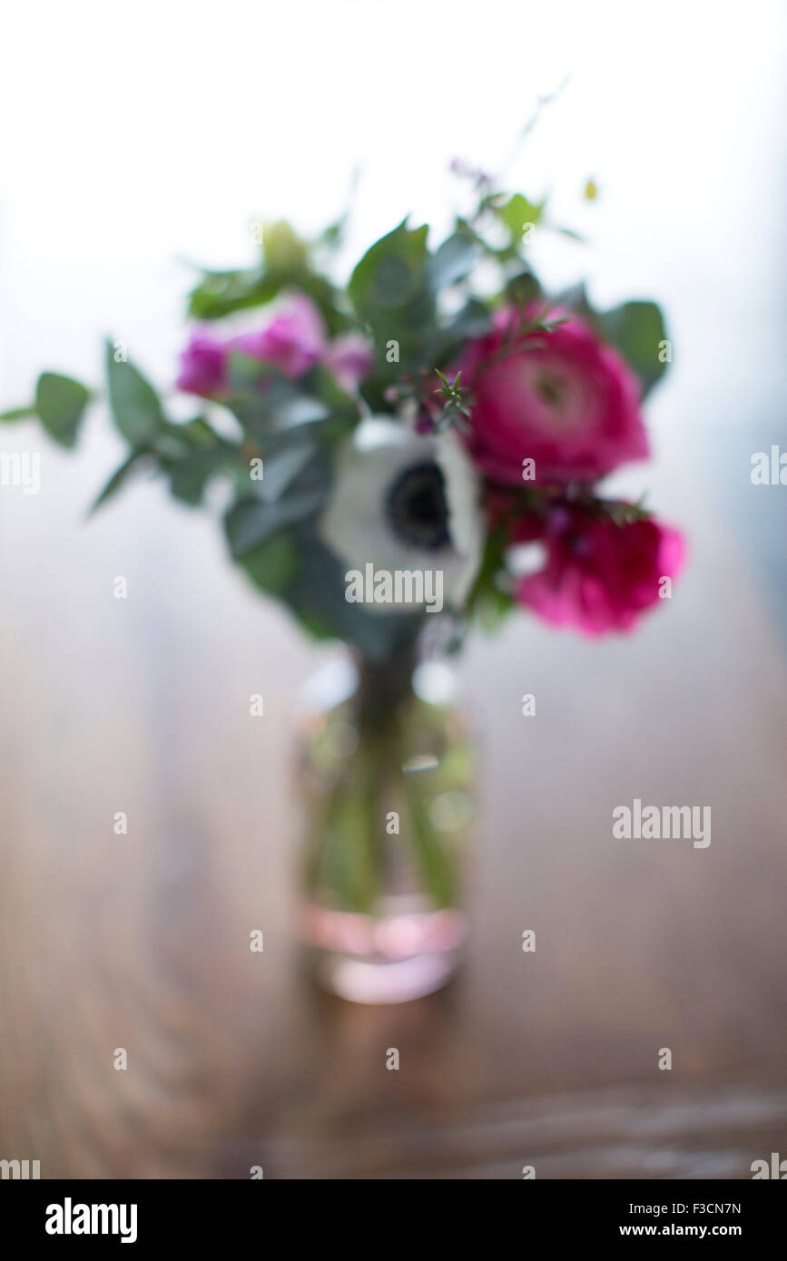 Fiori in vaso, sfocato Foto Stock