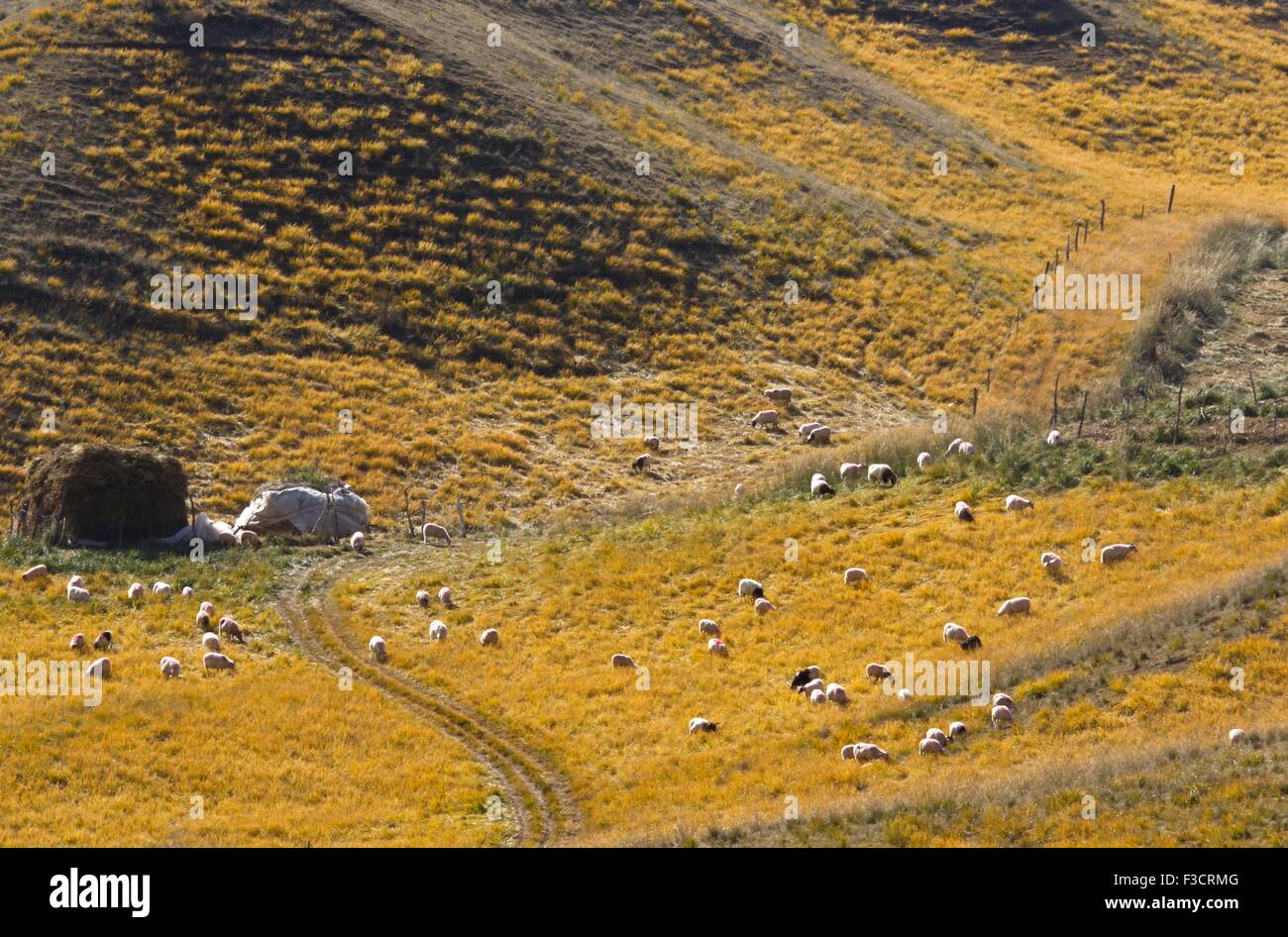 Zhangye. 5 Ottobre, 2015. Foto scattata il 5 ottobre, 2015 mostra paesaggi della montagna Qilianshan in Sunan Yugur contea autonoma, a nord-ovest della Cina di Provincia di Qinghai. © Wang Jiang/Xinhua/Alamy Live News Foto Stock