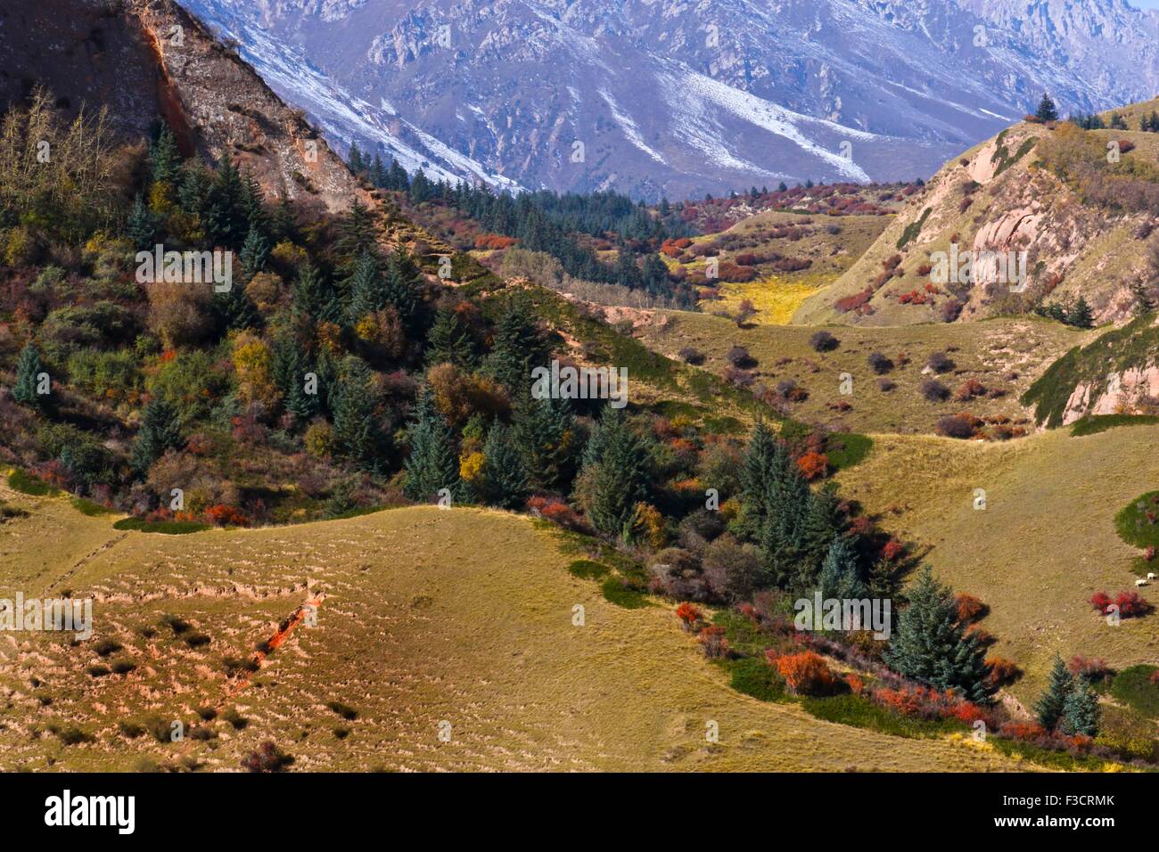 Zhangye. 5 Ottobre, 2015. Foto scattata il 5 ottobre, 2015 mostra paesaggi della montagna Qilianshan in Sunan Yugur contea autonoma, a nord-ovest della Cina di Provincia di Qinghai. © Wang Jiang/Xinhua/Alamy Live News Foto Stock