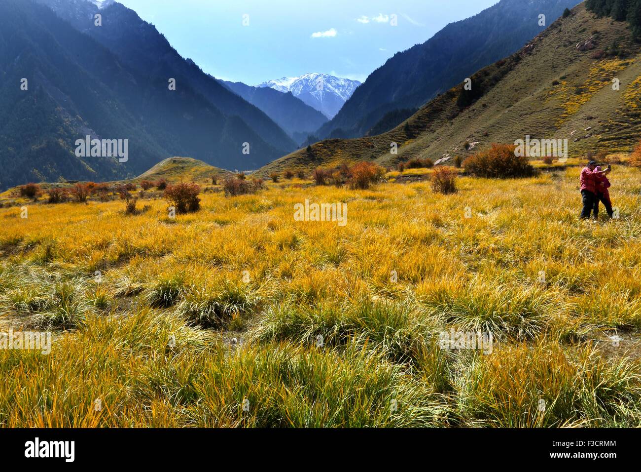 Zhangye. 5 Ottobre, 2015. Foto scattata il 5 ottobre, 2015 mostra paesaggi della montagna Qilianshan in Sunan Yugur contea autonoma, a nord-ovest della Cina di Provincia di Qinghai. © Wang Jiang/Xinhua/Alamy Live News Foto Stock