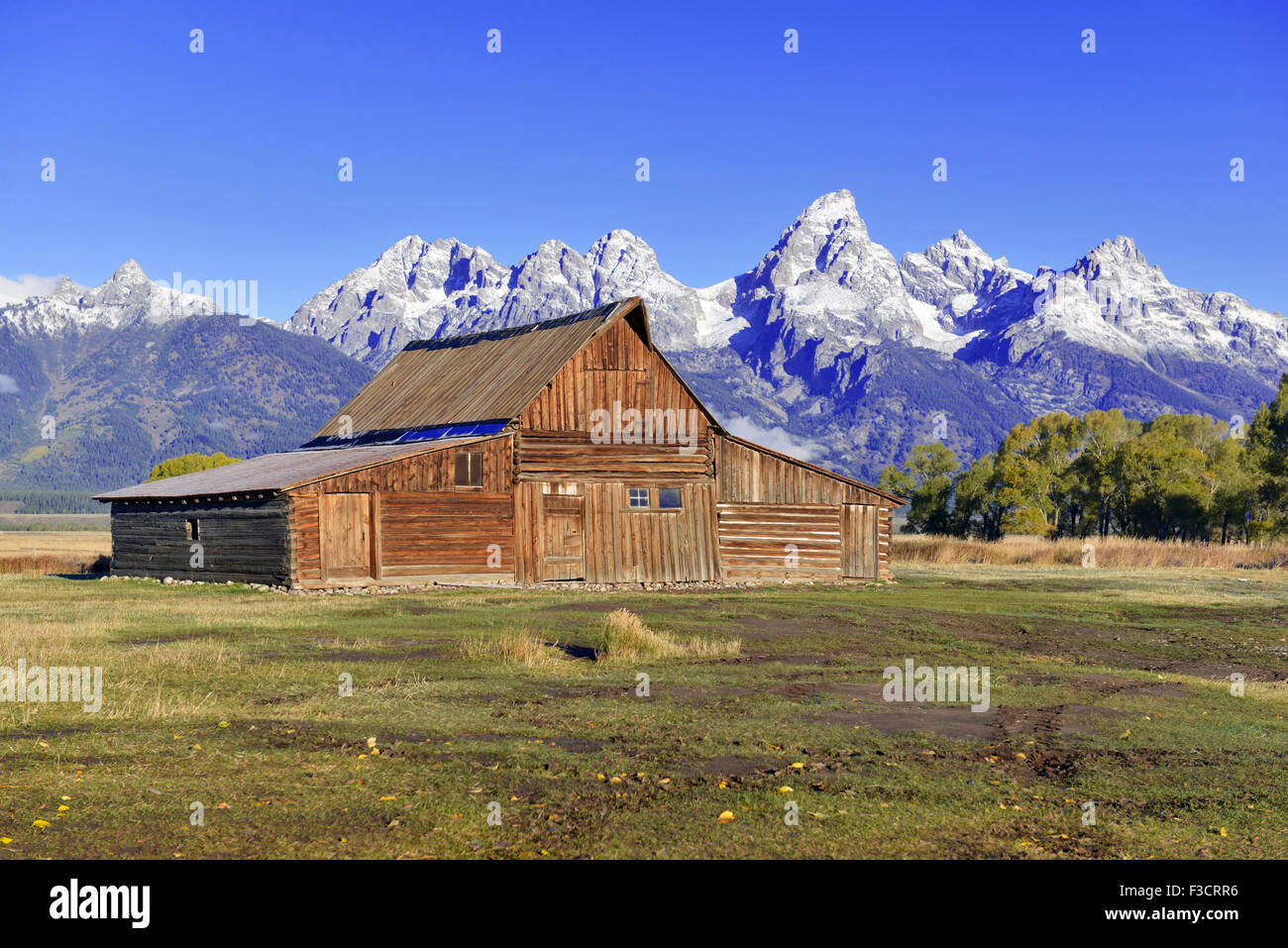 Grand Teton e i Teton Range, il Parco Nazionale del Grand Teton, Wyoming USA Foto Stock