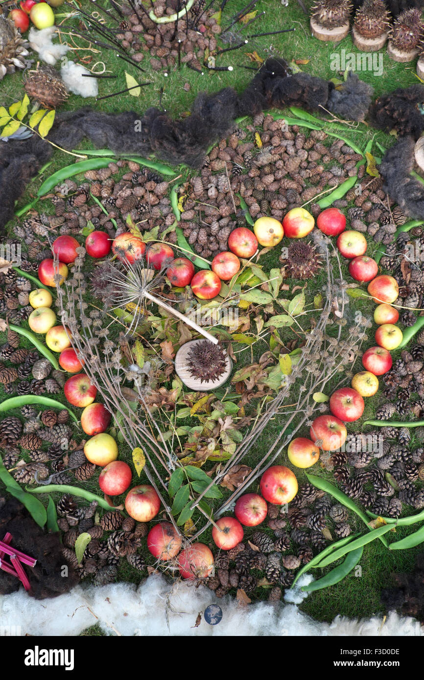 Arte dei giardini a forma di cuore realizzato da mele foglie e pigne in autunno Foto Stock