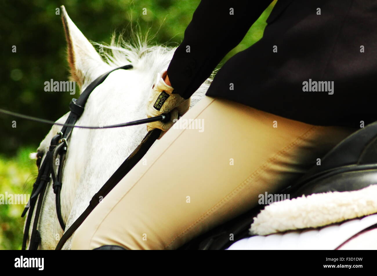 Vicino la foto di un ciclista dressage entrando per la sua prova a un concorso Foto Stock