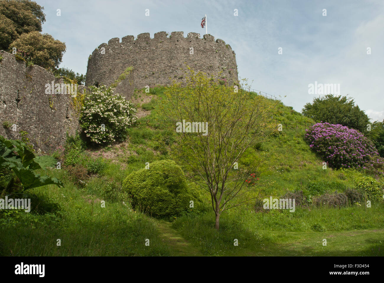 Il castello di Trematon Saltash Cornwall mostra Castello e Giardino Foto Stock