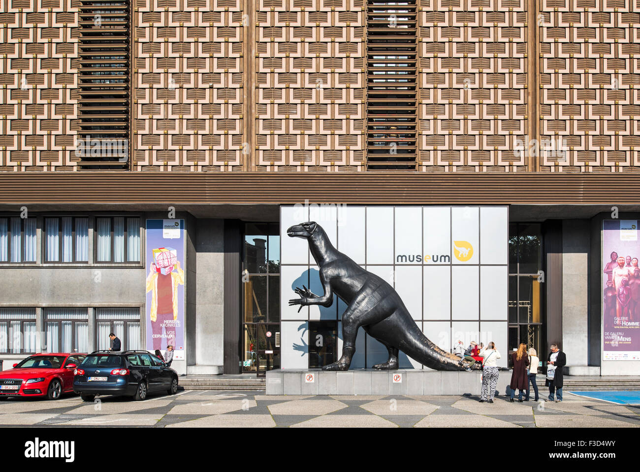 Dinosauro all'ingresso del Regio Istituto belga delle Scienze Naturali / Museo di Storia Naturale, Bruxelles, Belgio Foto Stock
