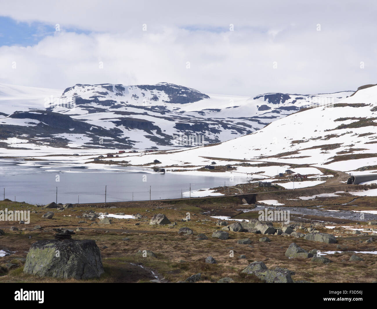 Norwegian panorama di montagna, Finse lago, Hardangervidda Norvegia, un po' di ghiaccio e neve in estate, Bergensbanen linea ferroviaria e Rallarvegen curvando Foto Stock