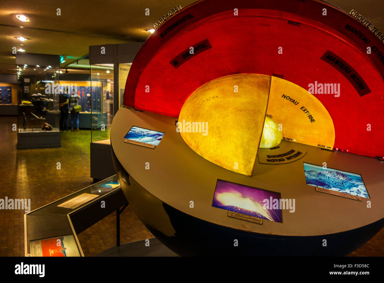 Sezione trasversale della terra nel Regio Istituto belga delle Scienze Naturali / Museo di Storia Naturale, Bruxelles, Belgio Foto Stock