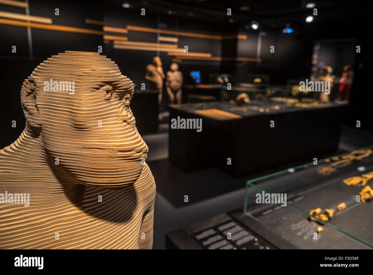 Life-dimensione 3D specie di ominide che illustrano l'evoluzione umana, Regio Istituto belga di Scienze Naturali di Bruxelles, Belgio Foto Stock