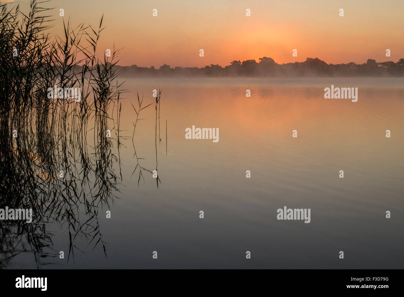 Pastel alba sul lago con impianti di acqua e vapore Foto Stock