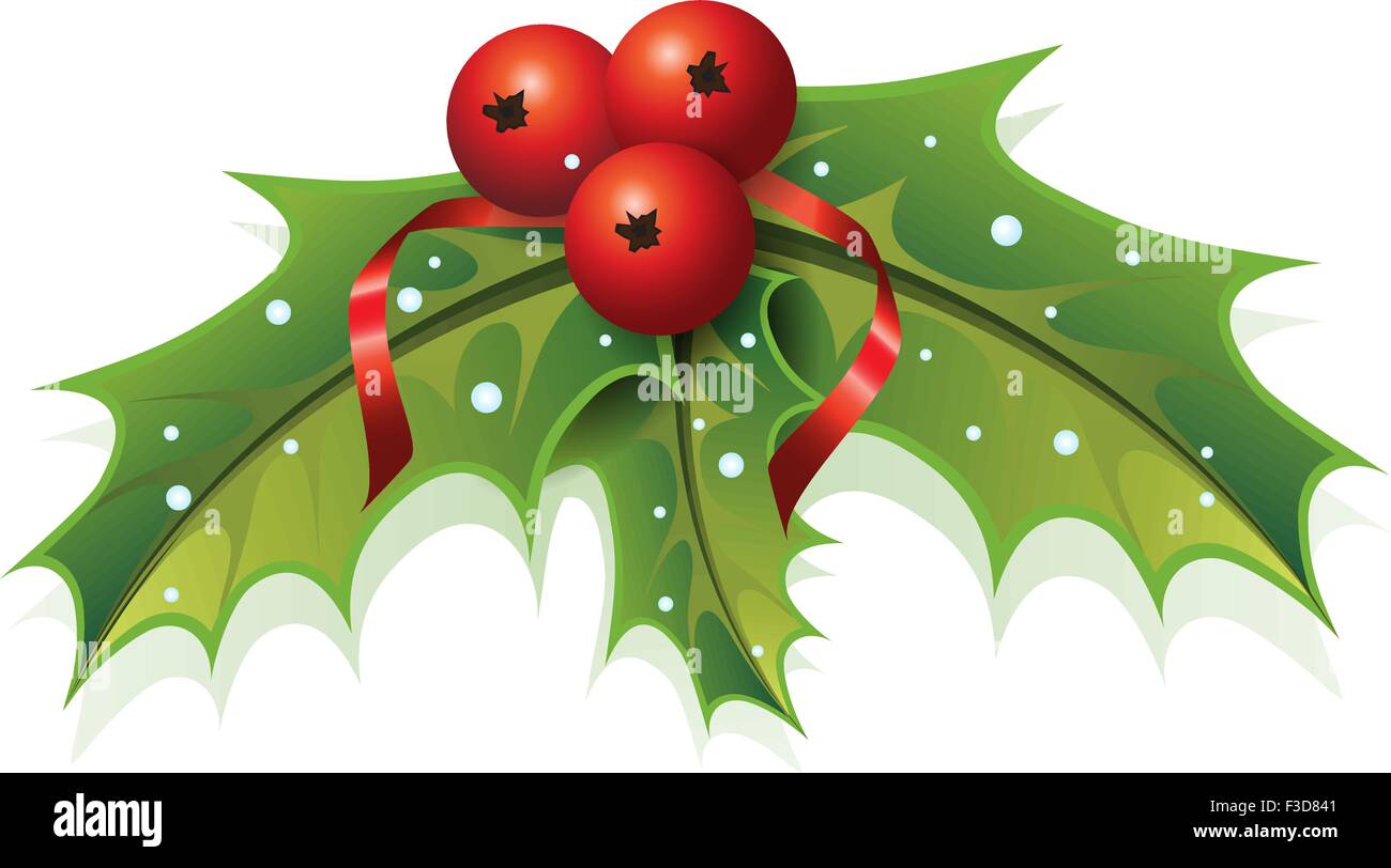 Questa immagine è un file vettore che rappresenta un Holly Impianto di Natale. Illustrazione Vettoriale