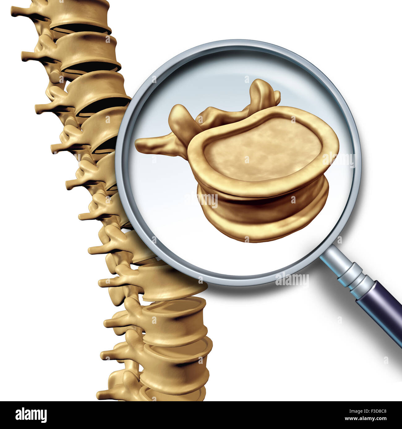 La vertebra colonna vertebrale colonna vertebrale umana concetto come cure mediche simbolo anatomia con scheletro osseo spinale struttura closeup su uno sfondo blu scuro come la copia in bianco lo spazio. Foto Stock