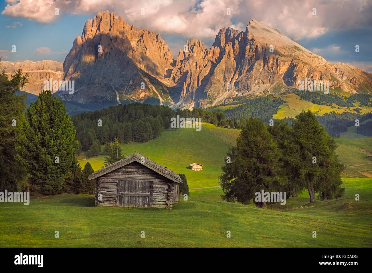 Alpe di Siusi con il gruppo del Sasso Lungo, Alto Adige, Dolomiti, Italia Foto Stock