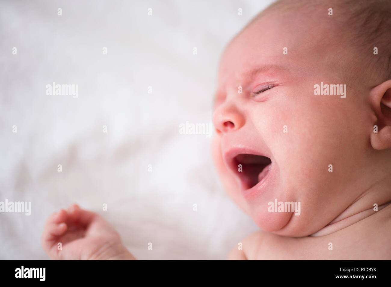Baby girl (2-5 mesi) che grida nel presepe Foto Stock