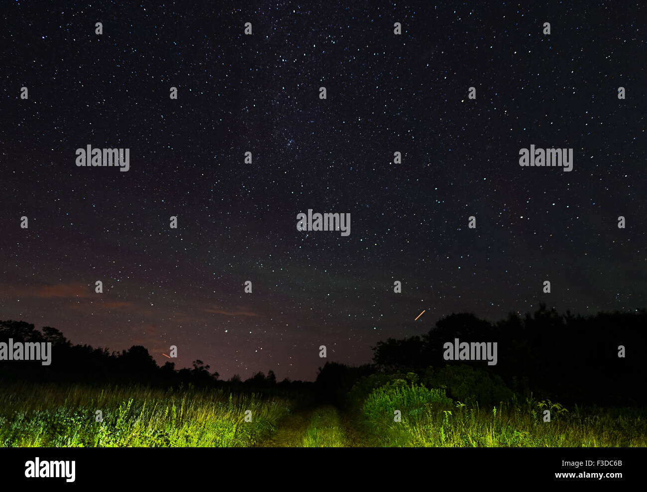 Vista del cielo stellato dalla strada sterrata di notte Foto Stock