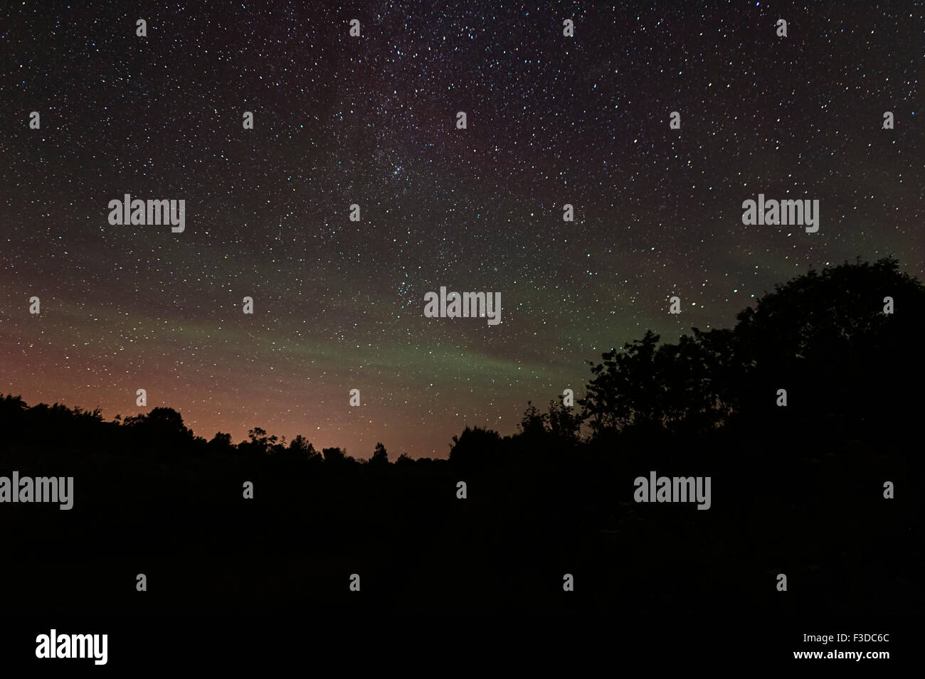 Vista del cielo stellato di notte Foto Stock
