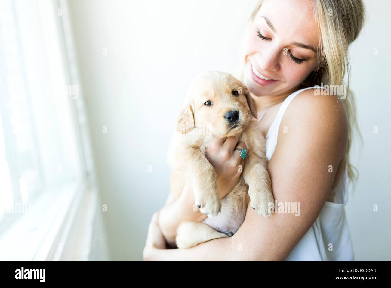 Donna che mantiene il Golden Retriever cucciolo Foto Stock