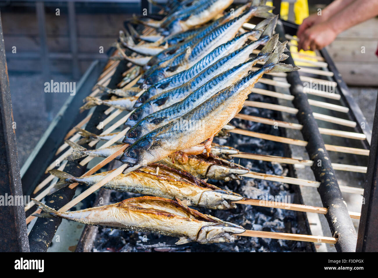 Stockfisch, pesce piatto preparato sul bastone di legno essendo cucinata, Grainau, Baviera, Germania Foto Stock