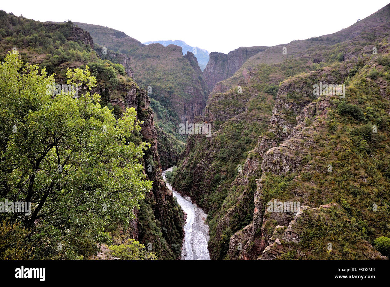 Vista sulla gola di Daluis e del suo fiume, sulle Alpi francesi, Francia Foto Stock