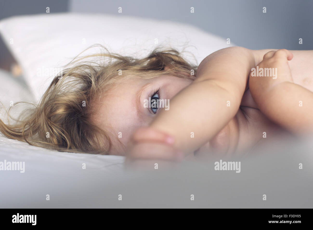 Baby girl napping Foto Stock