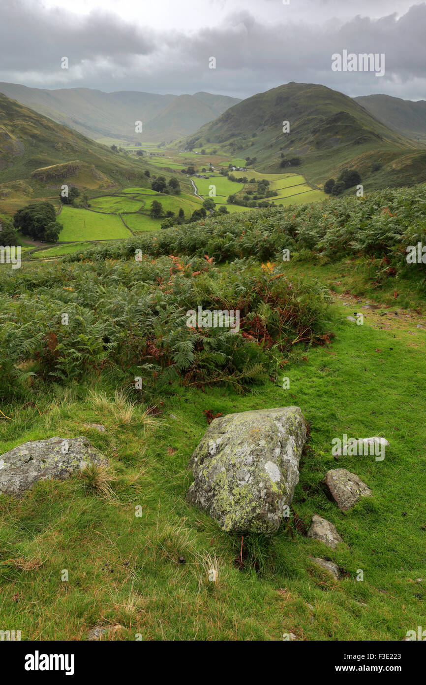 Estate, Martindale valle comune, Parco Nazionale del Distretto dei Laghi, Cumbria County, Inghilterra, Regno Unito. Foto Stock